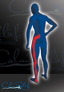 Sciatica pain from low back down the side of the hip and leg
